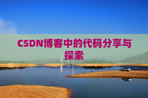 CSDN博客中的代码分享与探索